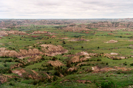 [Sweeping view of domed rocks rising from grass and treed canyon floor.]